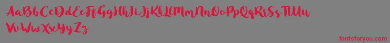 Blusty Script Free Font – Red Fonts on Gray Background