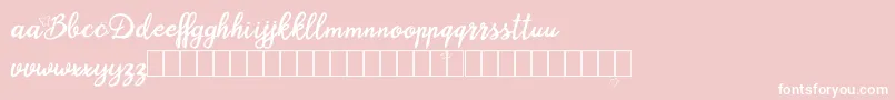 Blysher Demo Font – White Fonts on Pink Background