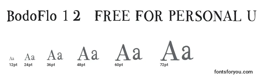 BodoFlo 1 2   FREE FOR PERSONAL USE ONLY Font Sizes