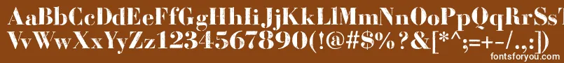 BodoniFragileDirt Font – White Fonts on Brown Background