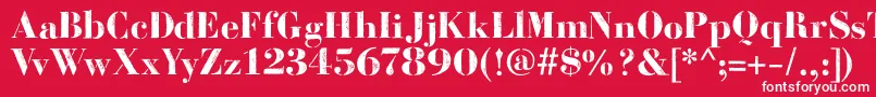 BodoniFragileDirt Font – White Fonts on Red Background