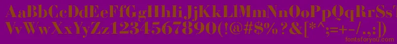 BodoniFragileRough Font – Brown Fonts on Purple Background