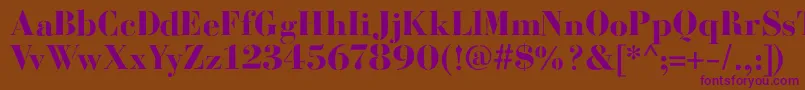 BodoniFragileRough Font – Purple Fonts on Brown Background
