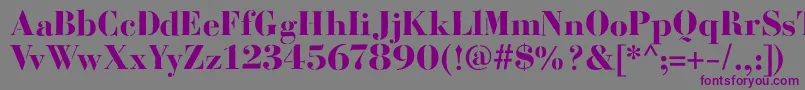 BodoniFragileRough Font – Purple Fonts on Gray Background