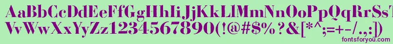 BodoniFragileRough Font – Purple Fonts on Green Background