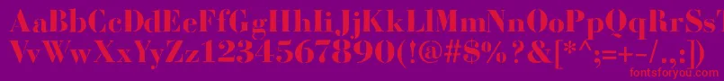 BodoniFragileRough Font – Red Fonts on Purple Background