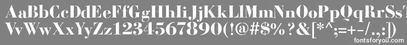 フォントBodoniFragileRough – 灰色の背景に白い文字