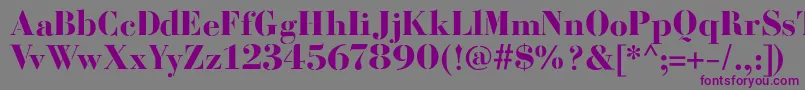 BodoniFragileSharp Font – Purple Fonts on Gray Background