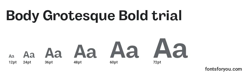Body Grotesque Bold trial Font Sizes