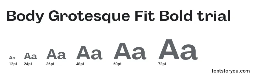 Body Grotesque Fit Bold trial Font Sizes
