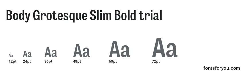 Размеры шрифта Body Grotesque Slim Bold trial