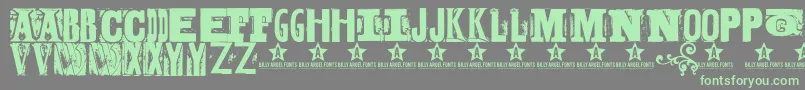 BODYH    Font – Green Fonts on Gray Background