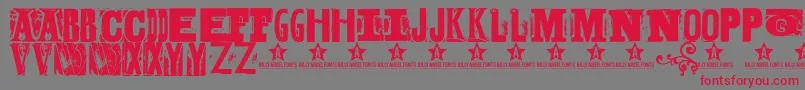 BODYH    Font – Red Fonts on Gray Background