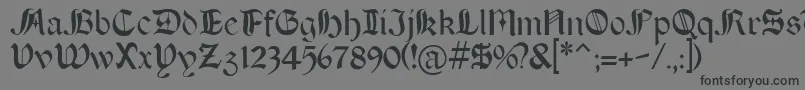 BOERT    Font – Black Fonts on Gray Background