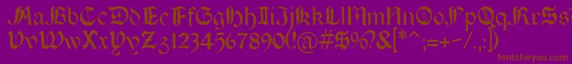 BOERT    Font – Brown Fonts on Purple Background