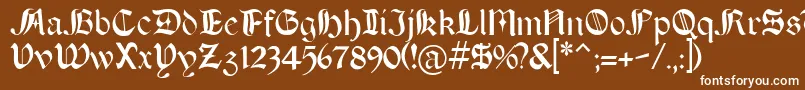 BOERT    Font – White Fonts on Brown Background