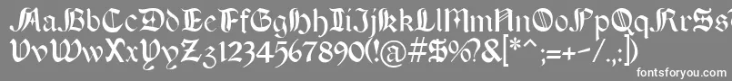 BOERT    Font – White Fonts on Gray Background
