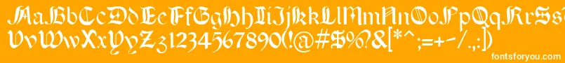 BOERT    Font – White Fonts on Orange Background