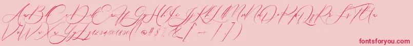 Boheme Floral Font – Red Fonts on Pink Background