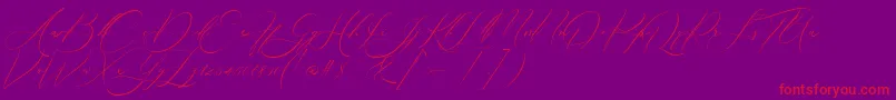 Boheme Floral-Schriftart – Rote Schriften auf violettem Hintergrund