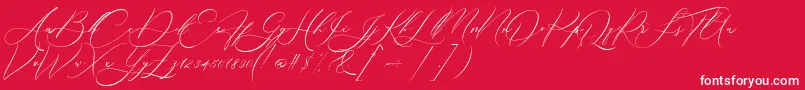 Boheme Floral Font – White Fonts on Red Background