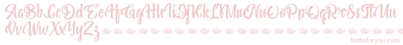 Bohemian Melody Font – Pink Fonts on White Background