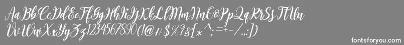 フォントBointang Cifoy – 灰色の背景に白い文字