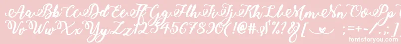 Bold  Stylish Calligraphy-Schriftart – Weiße Schriften auf rosa Hintergrund