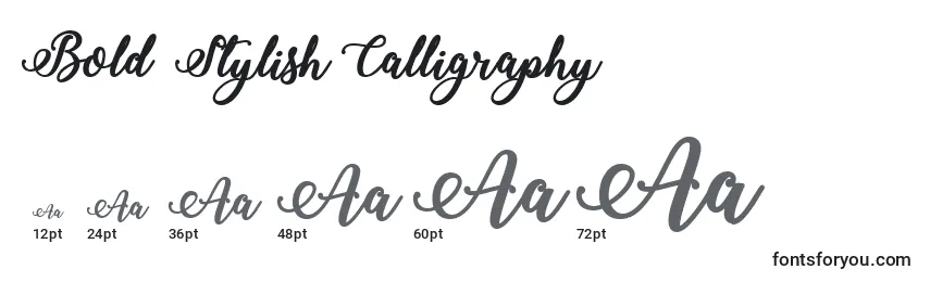 Размеры шрифта Bold  Stylish Calligraphy