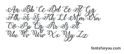 Czcionka Bold  Stylish Calligraphy