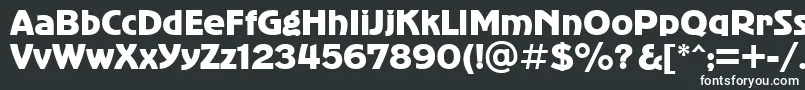 フォントbold – 黒い背景に白い文字