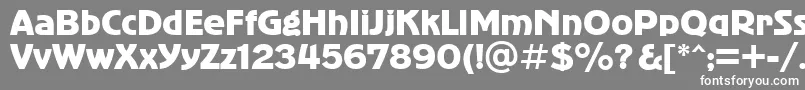 フォントbold – 灰色の背景に白い文字