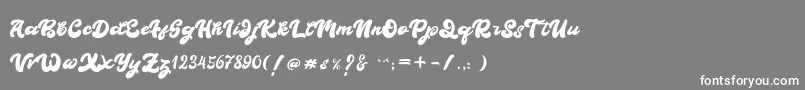 BOLDIE Font – White Fonts on Gray Background