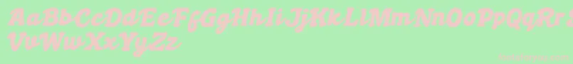 Boldywolf Font – Pink Fonts on Green Background