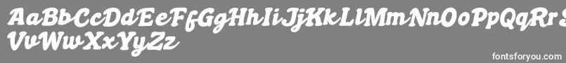 Boldywolf Font – White Fonts on Gray Background