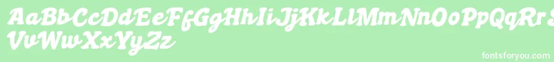 Boldywolf Font – White Fonts on Green Background