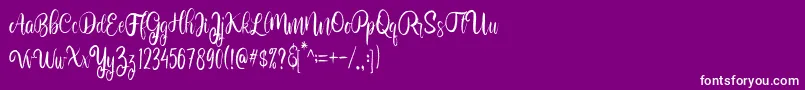 BolehdongRegular Font – White Fonts on Purple Background