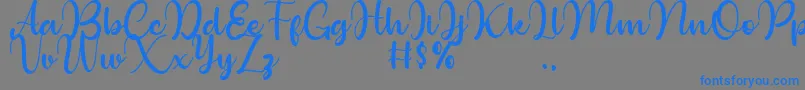 Bollinsh Hunt Personal Use Only-Schriftart – Blaue Schriften auf grauem Hintergrund