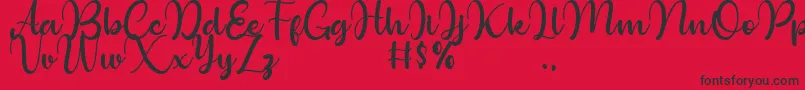 Bollinsh Hunt Personal Use Only Font – Black Fonts on Red Background