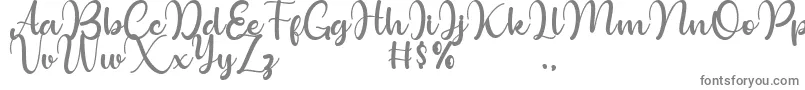 Bollinsh Hunt Personal Use Only Font – Gray Fonts