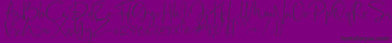 Bollivia Rosilla Demo-Schriftart – Schwarze Schriften auf violettem Hintergrund