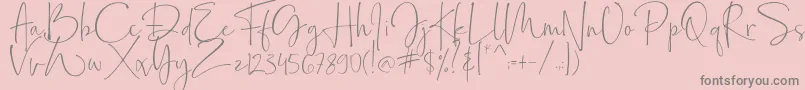 Bollivia Rosilla Demo Font – Gray Fonts on Pink Background