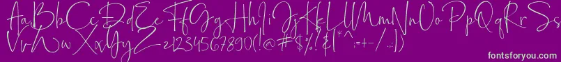 Bollivia Rosilla Demo Font – Green Fonts on Purple Background