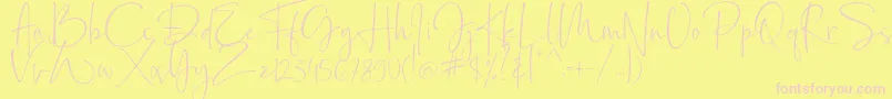 Bollivia Rosilla Demo-Schriftart – Rosa Schriften auf gelbem Hintergrund