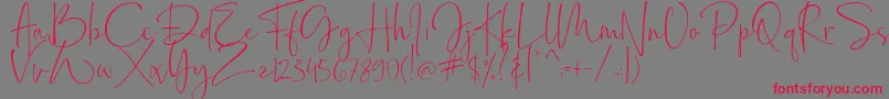 Bollivia Rosilla Demo-Schriftart – Rote Schriften auf grauem Hintergrund