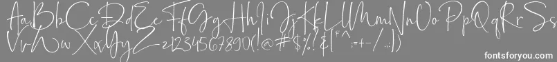 Bollivia Rosilla Demo-Schriftart – Weiße Schriften auf grauem Hintergrund