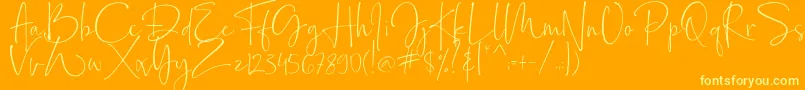 Bollivia Rosilla Demo-Schriftart – Gelbe Schriften auf orangefarbenem Hintergrund