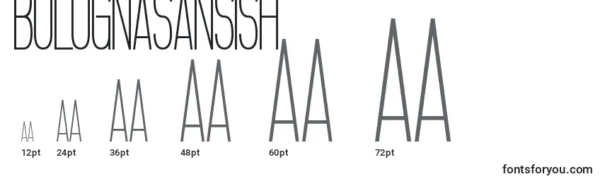 BolognaSansish Font Sizes