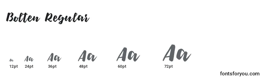 Bolten Regular Font Sizes