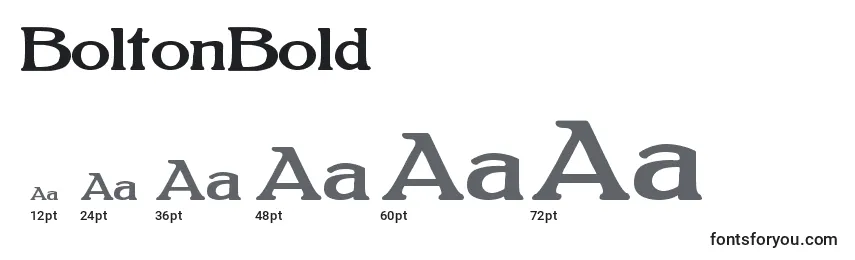 BoltonBold (121808) Font Sizes